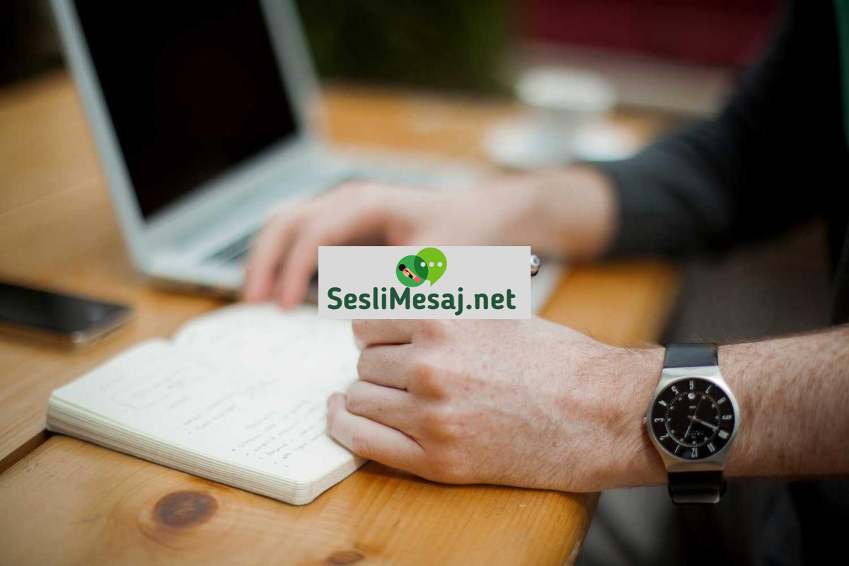 NFT Sanatı ve Dijital Koleksiyonculuk Sohbeti: Trendler