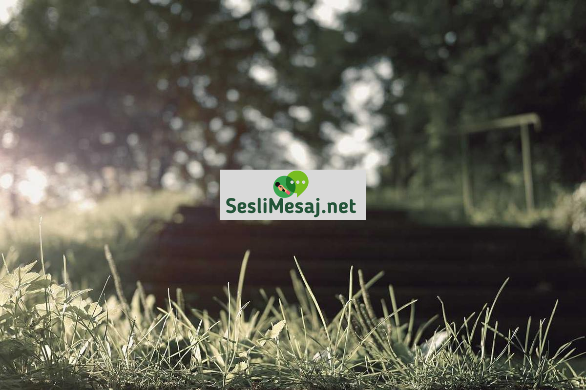 NFT Sanatı ve Dijital Koleksiyonculuk Sohbeti: Trendler