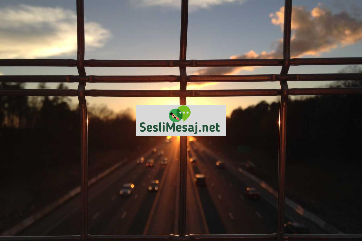 NFT Sanatı ve Dijital Koleksiyonculuk Sohbeti: Trendler