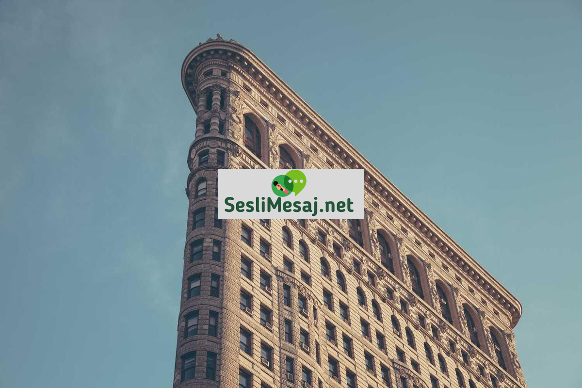 NFT Sanatı ve Dijital Koleksiyonculuk Sohbeti: Trendler