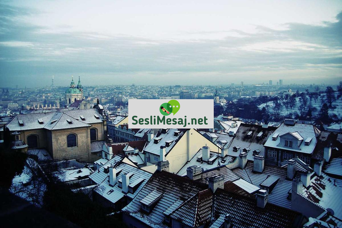 NFT Sanatı ve Dijital Koleksiyonculuk Sohbeti: Trendler