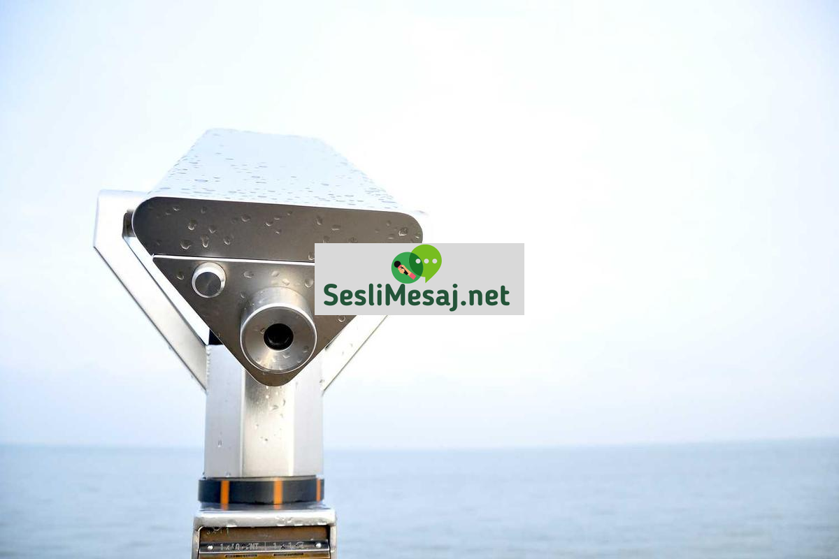 NFT Sanatı ve Dijital Koleksiyonculuk Sohbeti: Trendler