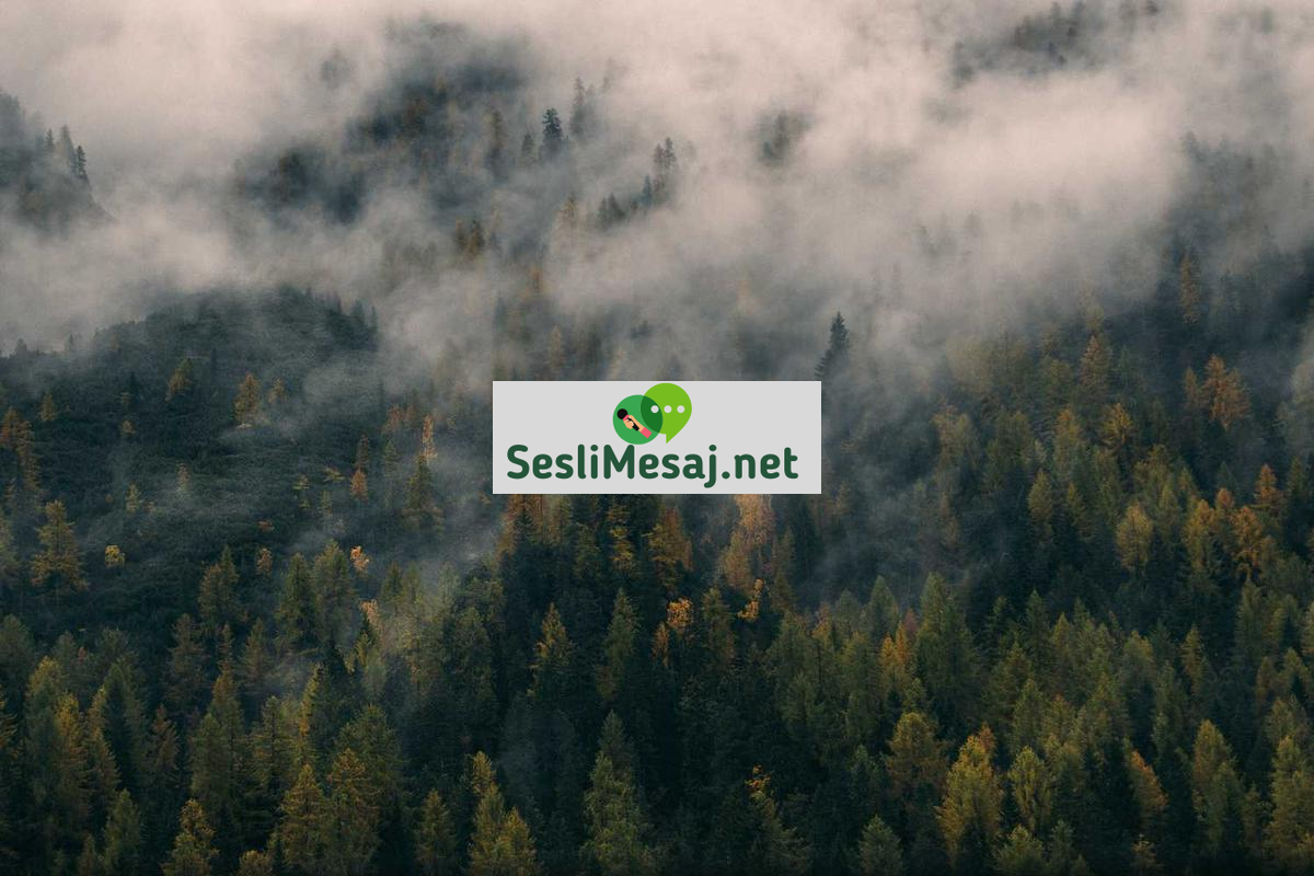 Online Eğitimde Etkili Not Alma Teknikleri Sohbeti: Verimlilik