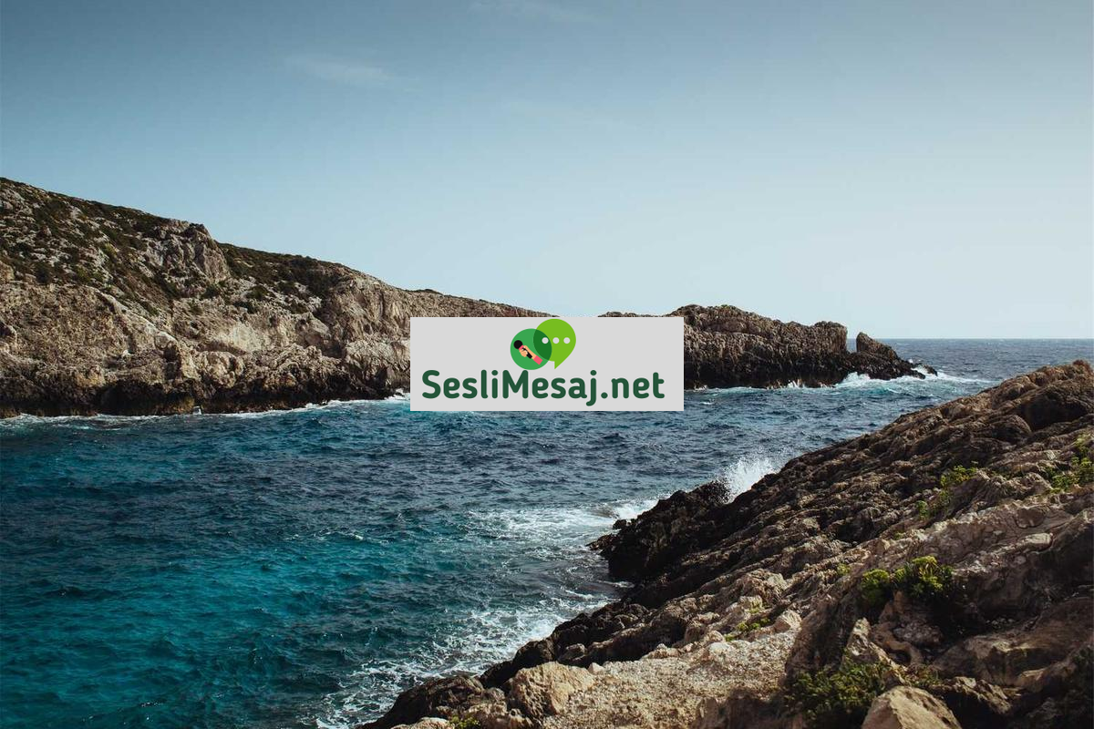 Online Eğitimde Etkili Not Alma Teknikleri Sohbeti: Verimlilik