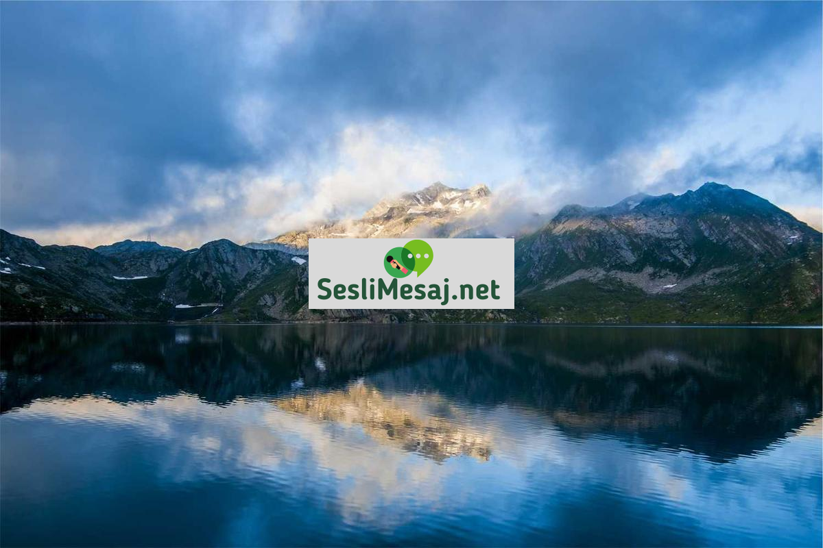 Online Eğitimde Etkili Not Alma Teknikleri Sohbeti: Verimlilik