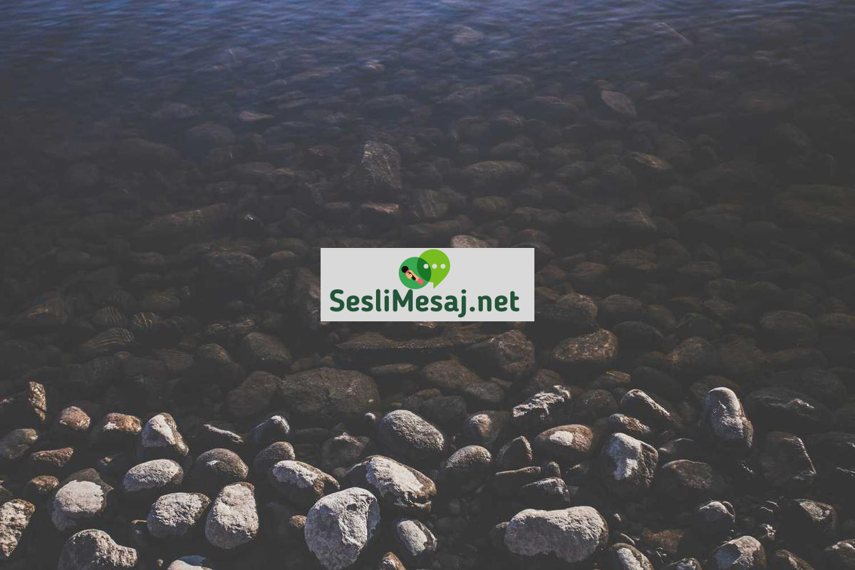 Online Eğitimde Etkili Not Alma Teknikleri Sohbeti: Verimlilik