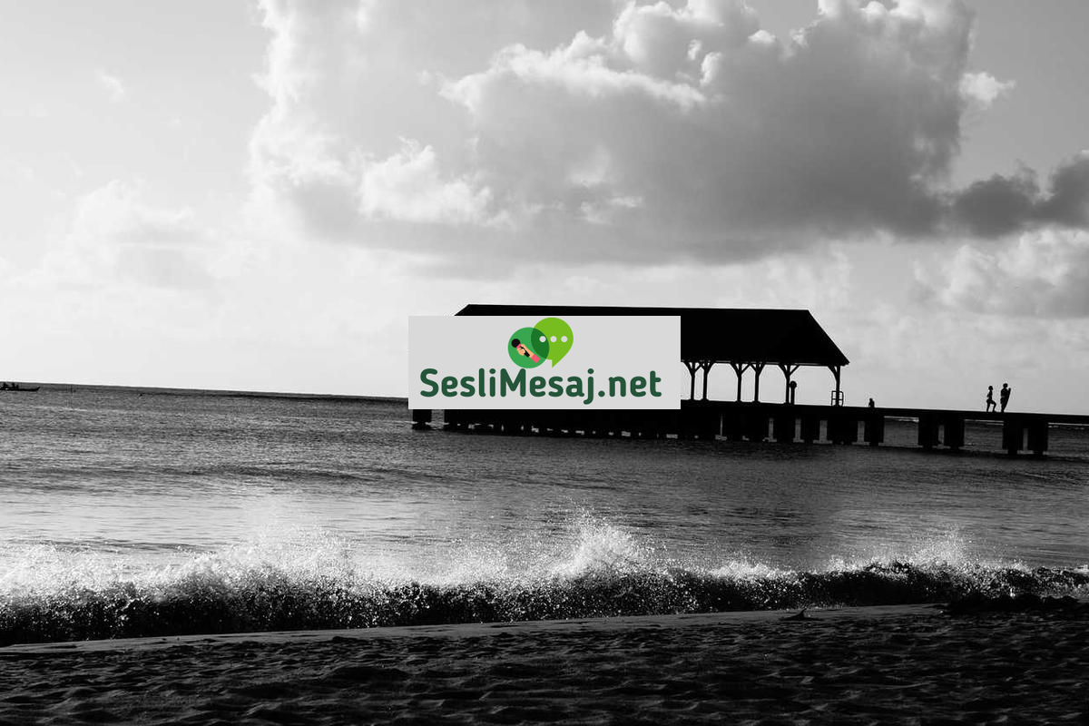 Online Eğitimde Etkili Not Alma Teknikleri Sohbeti: Verimlilik