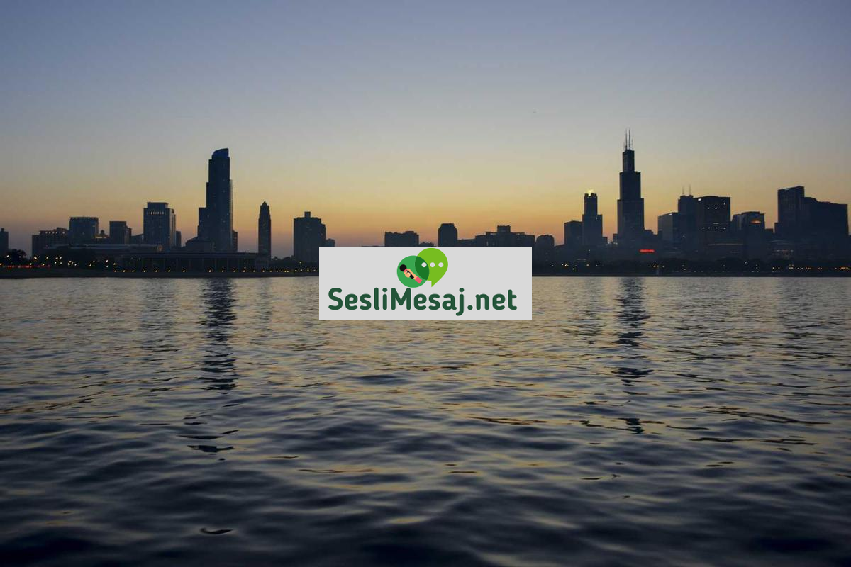 Online Eğitimin Avantajları ve Dezavantajları Sohbeti: Karşılaştırma