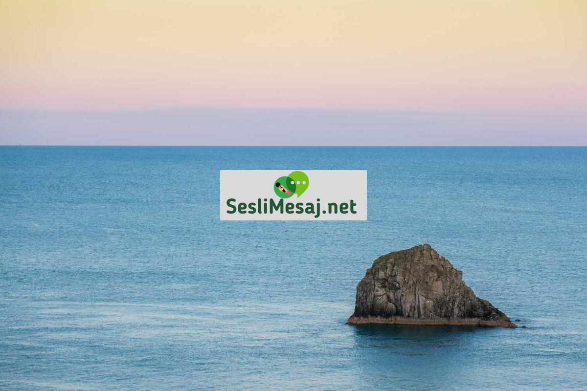 Online Flörtte İlk İletişim İpuçları Sohbeti: Başlangıç