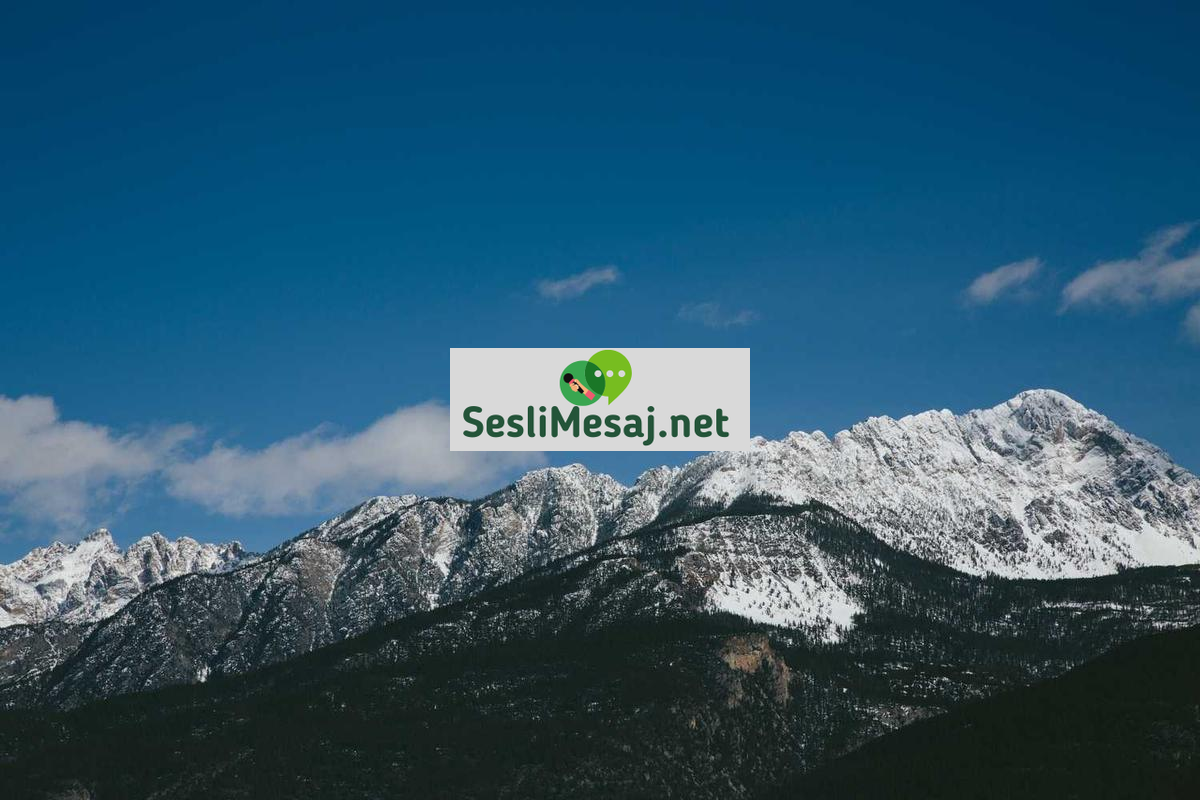 Online Flörtte İlk İletişim İpuçları Sohbeti: Başlangıç