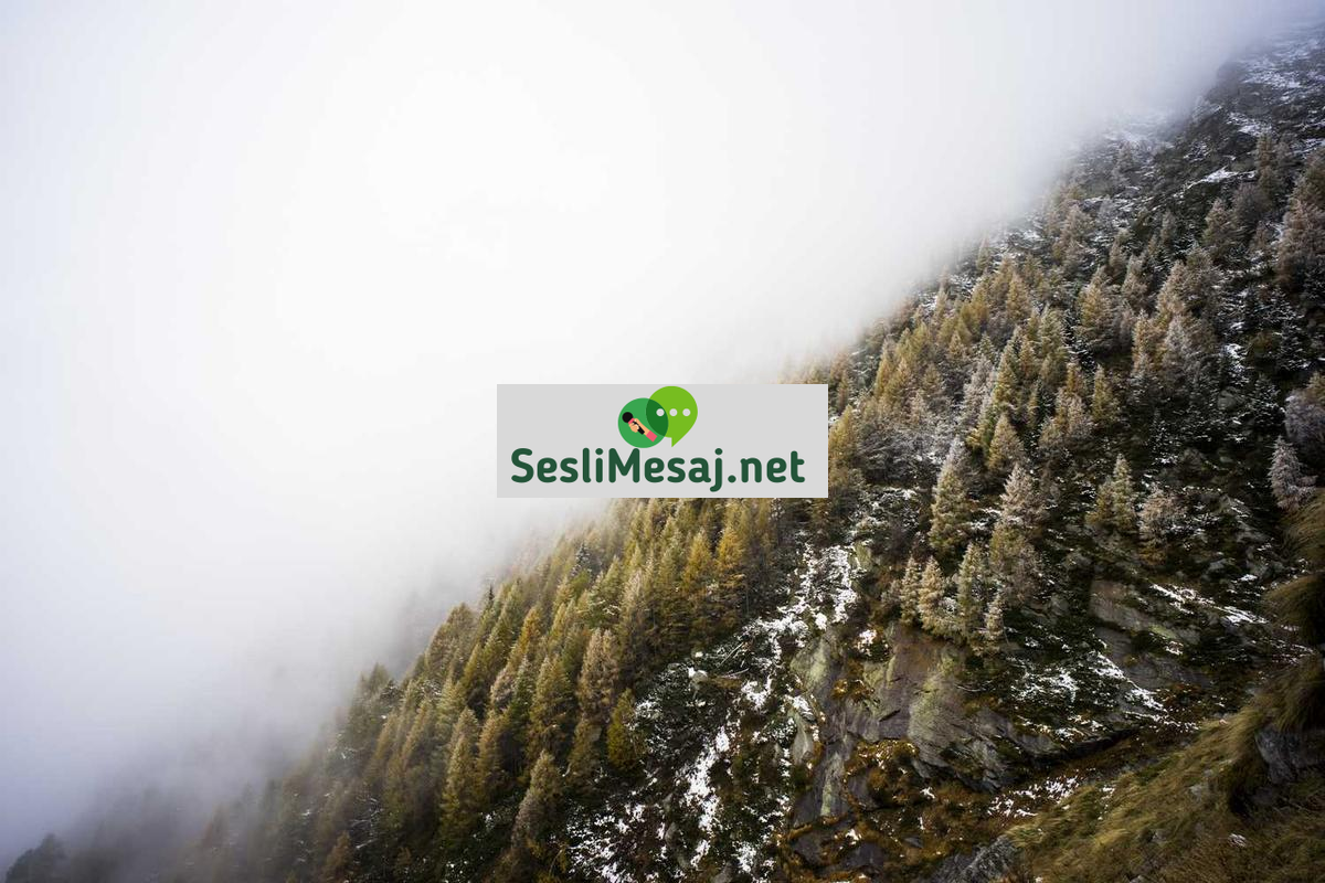 Online Flörtte İlk İletişim İpuçları Sohbeti: Başlangıç