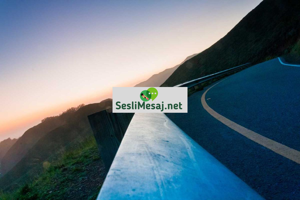 Online Kurslar Sohbeti: MOOC ve Dijital Öğrenme