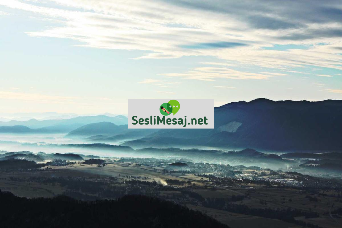 Online İş Sohbeti: İnternet Üzerinden Para Kazanma Yolları