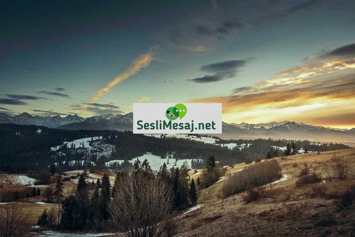 Ortak İlgi Sohbet: Benzer Hobilerle Bağlantı