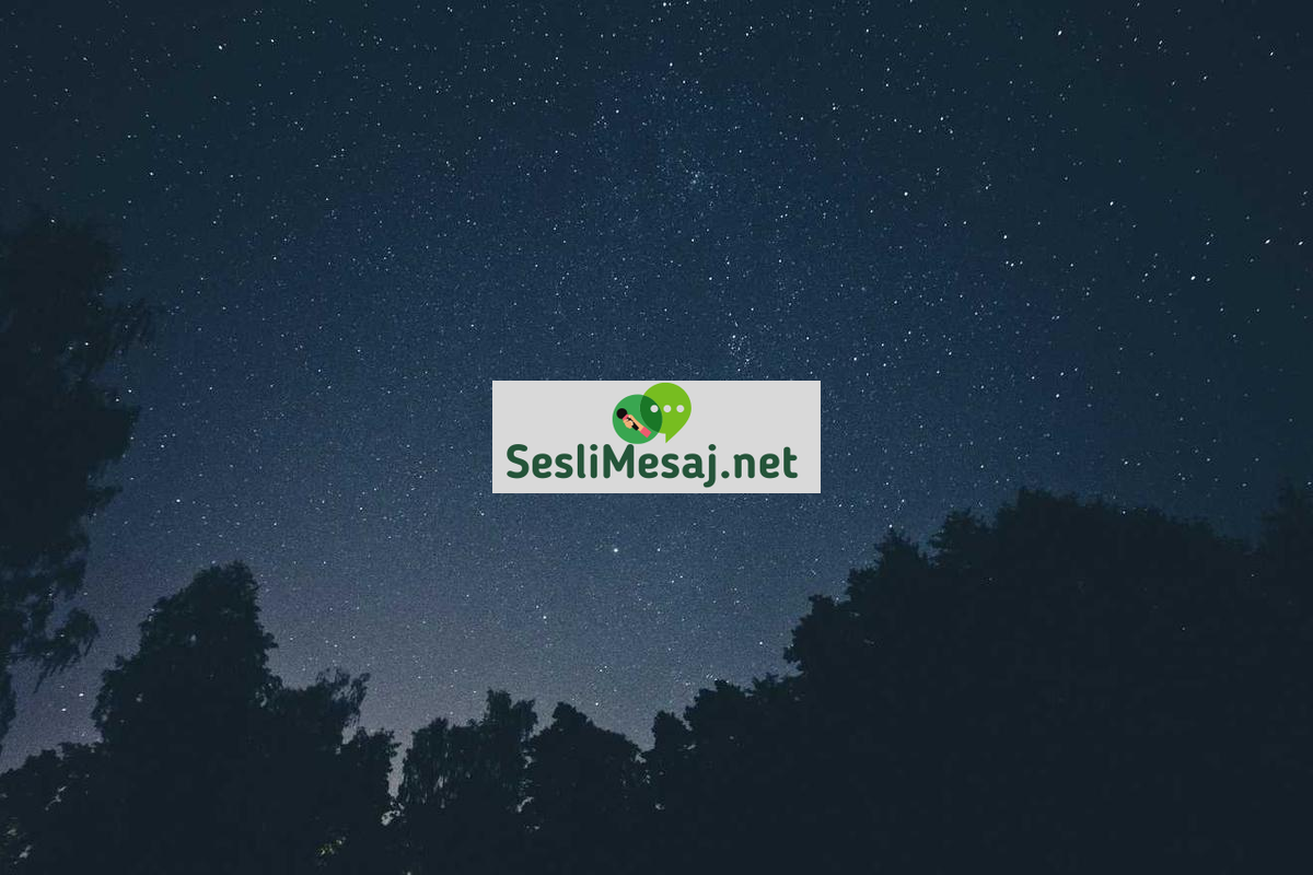 Oyun Bağımlılığı Sohbeti: Aşırı Oyun Kullanımını Yönetme