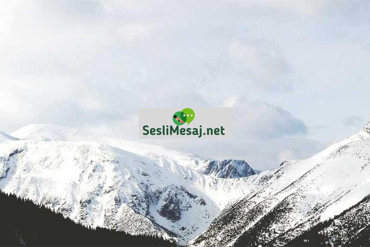 Oyun Geliştirme İçin Donanım Seçimi Sohbeti: Performans