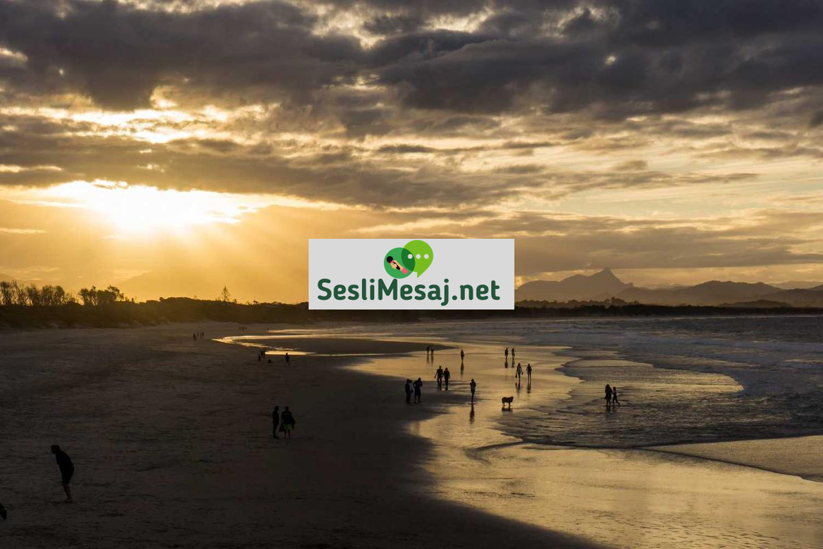 Oyun Geliştirme İçin Online Kurslar Sohbeti: Eğitim