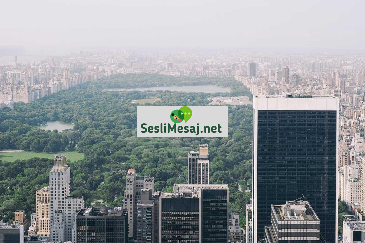 Oyun Geliştirme Sürecinde Ses Tasarımı Sohbeti: Ses Kalitesi