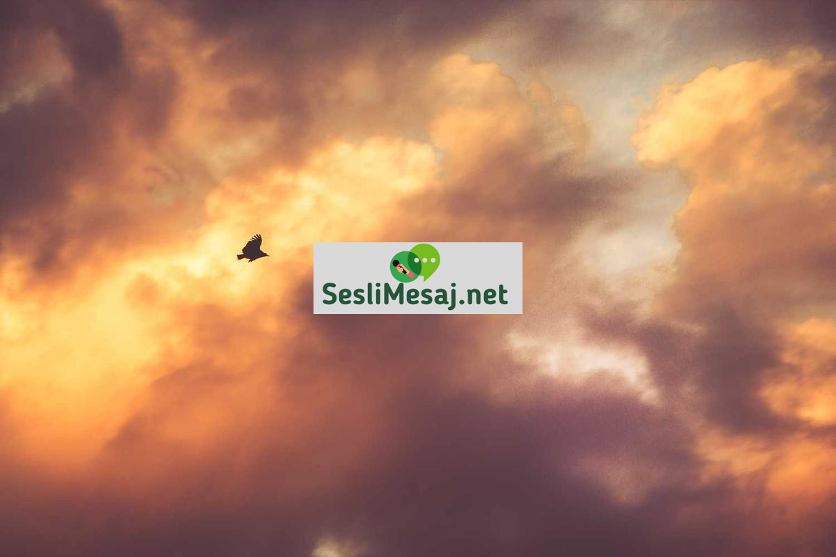 Oyun Geliştirme Sürecinde Ses Tasarımı Sohbeti: Ses Kalitesi