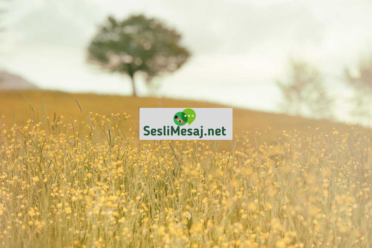 Oyun Geliştirme Sürecinde Ses Tasarımı Sohbeti: Ses Kalitesi