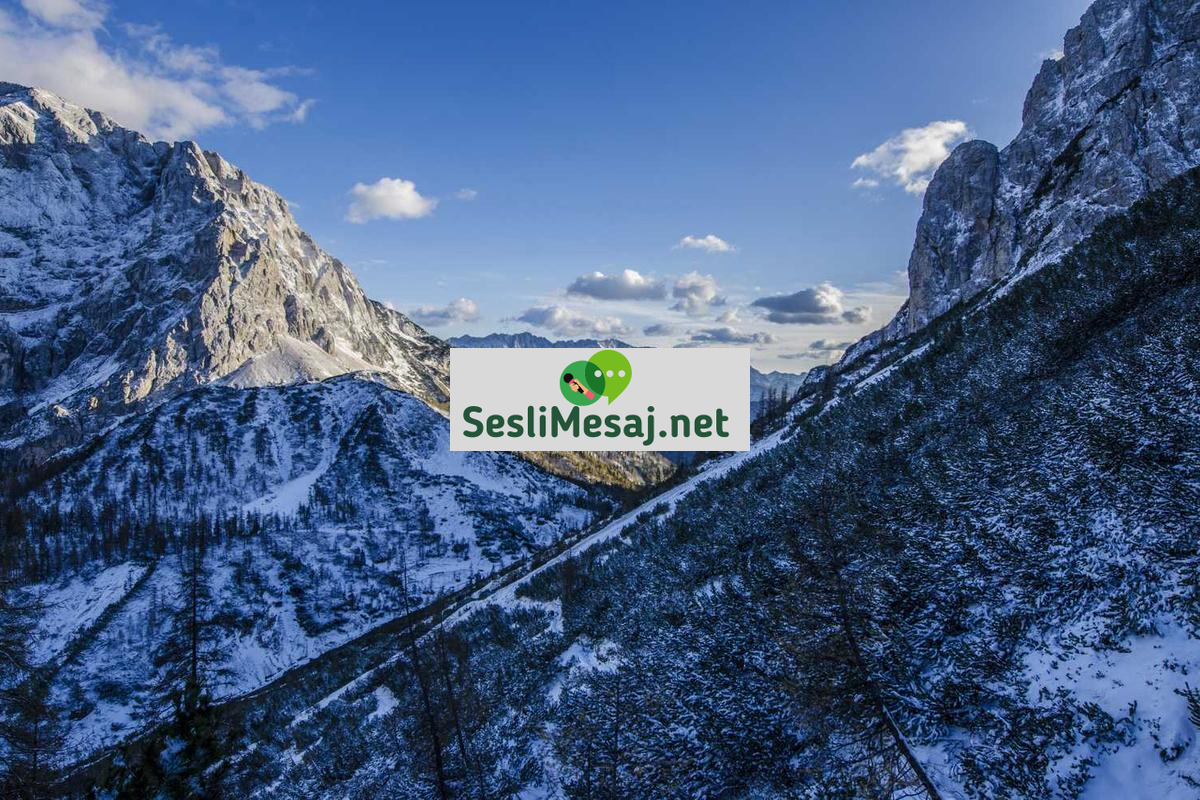 Para Yönetimi Chat: Finansal Okuryazarlık