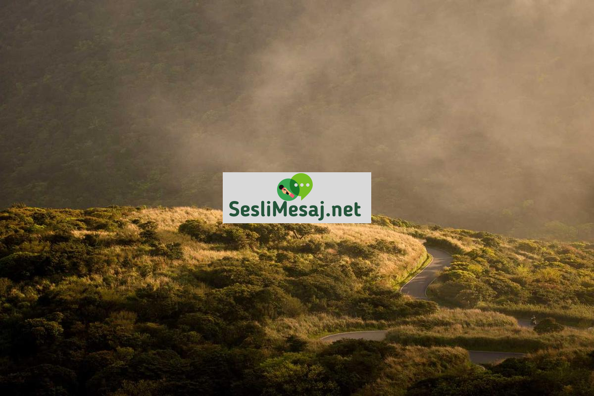 Parti Sohbet: Eğlenceli Etkinlik Paylaşımları