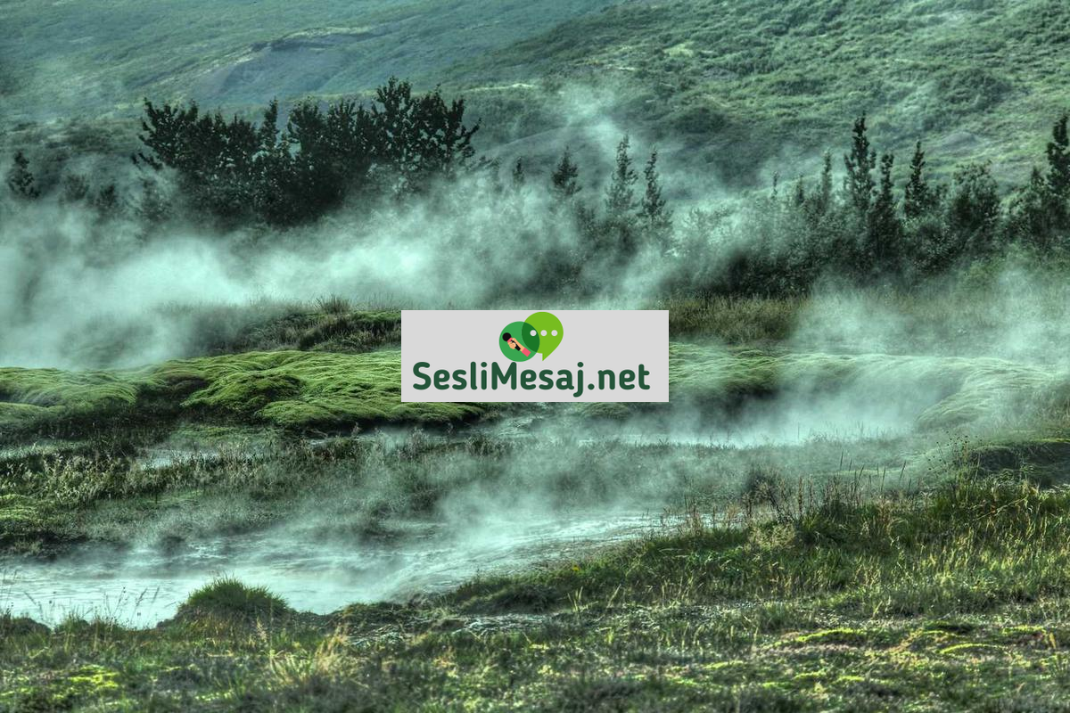 Pasif Gelirle Finansal Özgürlük İçin İpuçları Sohbeti: Yöntem