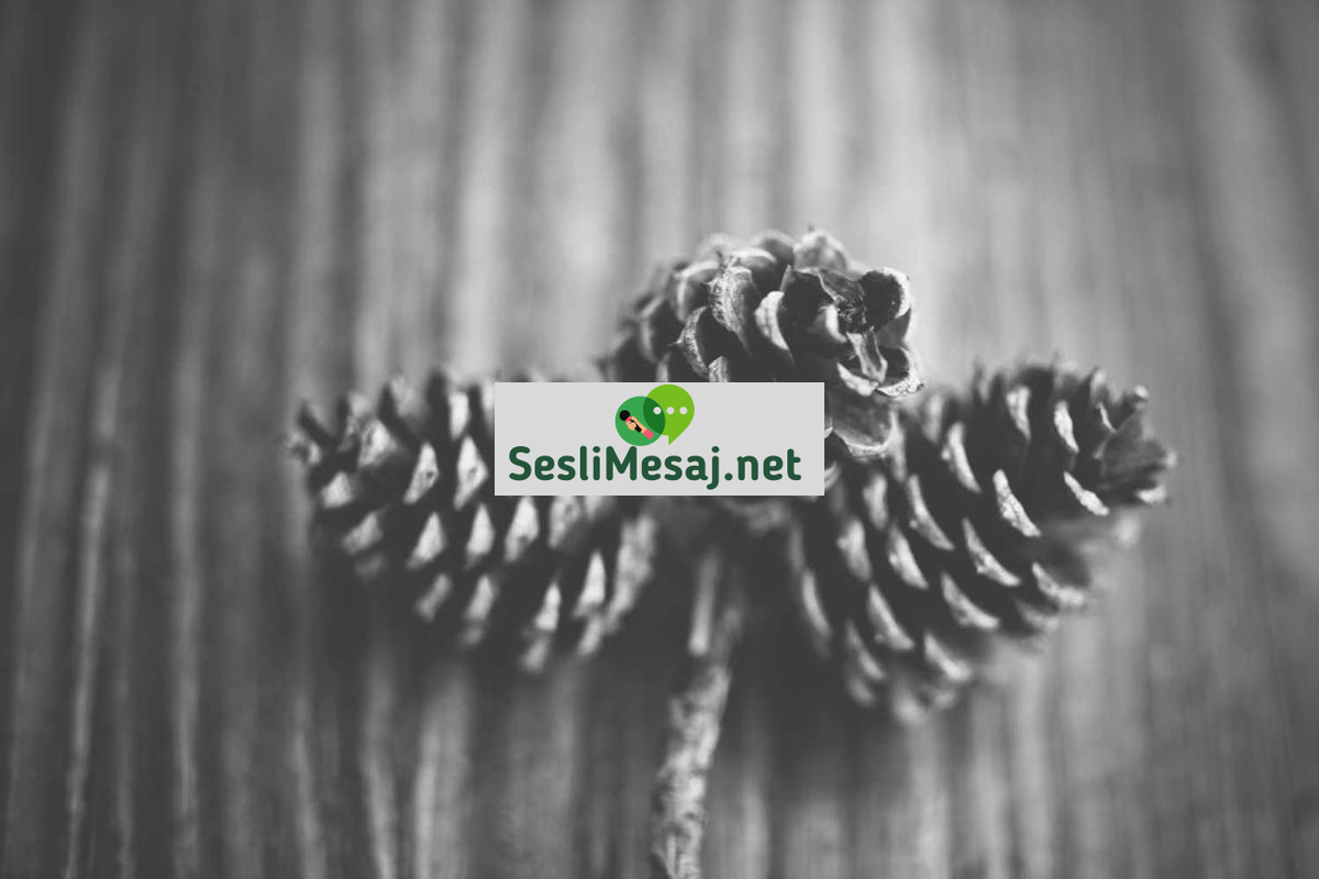 Pasif Gelirle Finansal Özgürlük İçin İpuçları Sohbeti: Yöntem