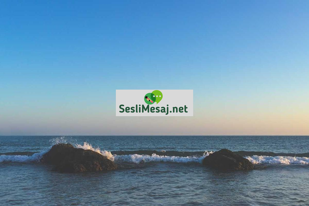 Pasif Gelir Modelleri Karşılaştırması Sohbeti: En Karlıları