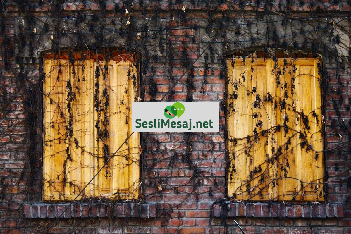 Permakültür Sohbeti: Sürdürülebilir Tarım Sistemleri