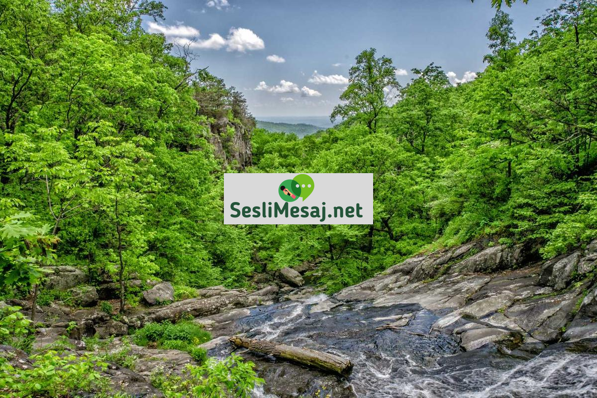 Popüler Kadın-Erkek Sohbeti: Cinsiyet Odaklı İletişim Trendleri