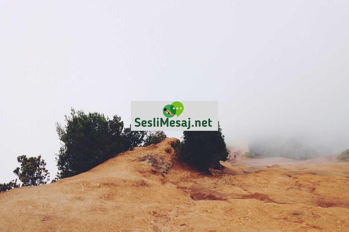 Pozitif Psikoloji Sohbeti: Mutluluk ve Refah Üzerine Çalışmalar