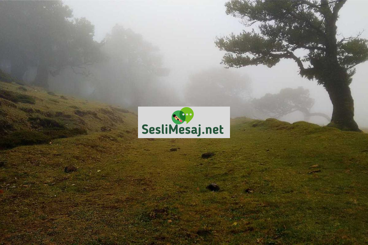 Premium Sohbet: Ek Özelliklerle İletişim Kalitenizi Artırma