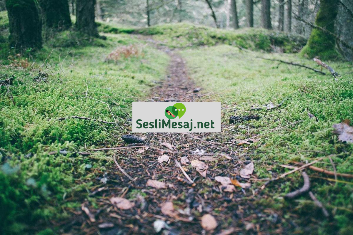 Premium Sohbet: Ek Özelliklerle İletişim Kalitenizi Artırma