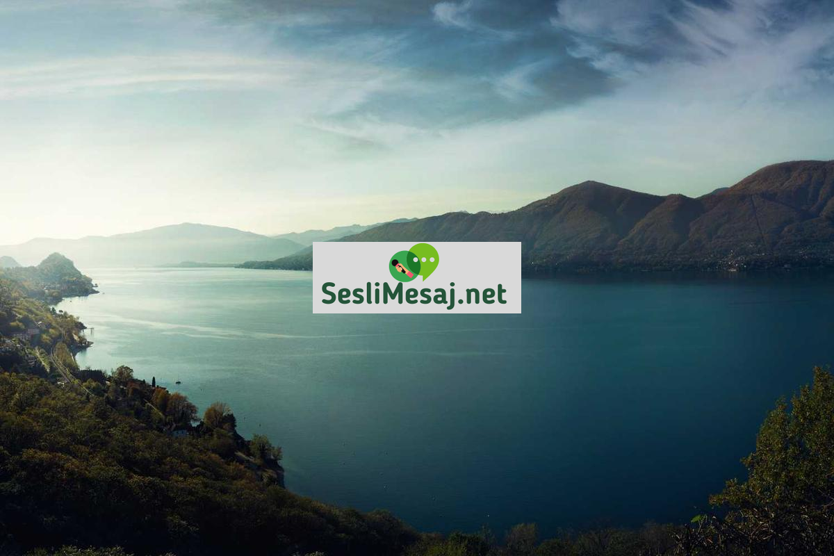 Profesyonel Chat: İş Hayatında Başarı ve Verimlilik