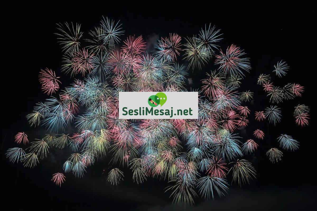 Programlama Dilleri Karşılaştırması Sohbeti: Hangi Dil Seçilmeli