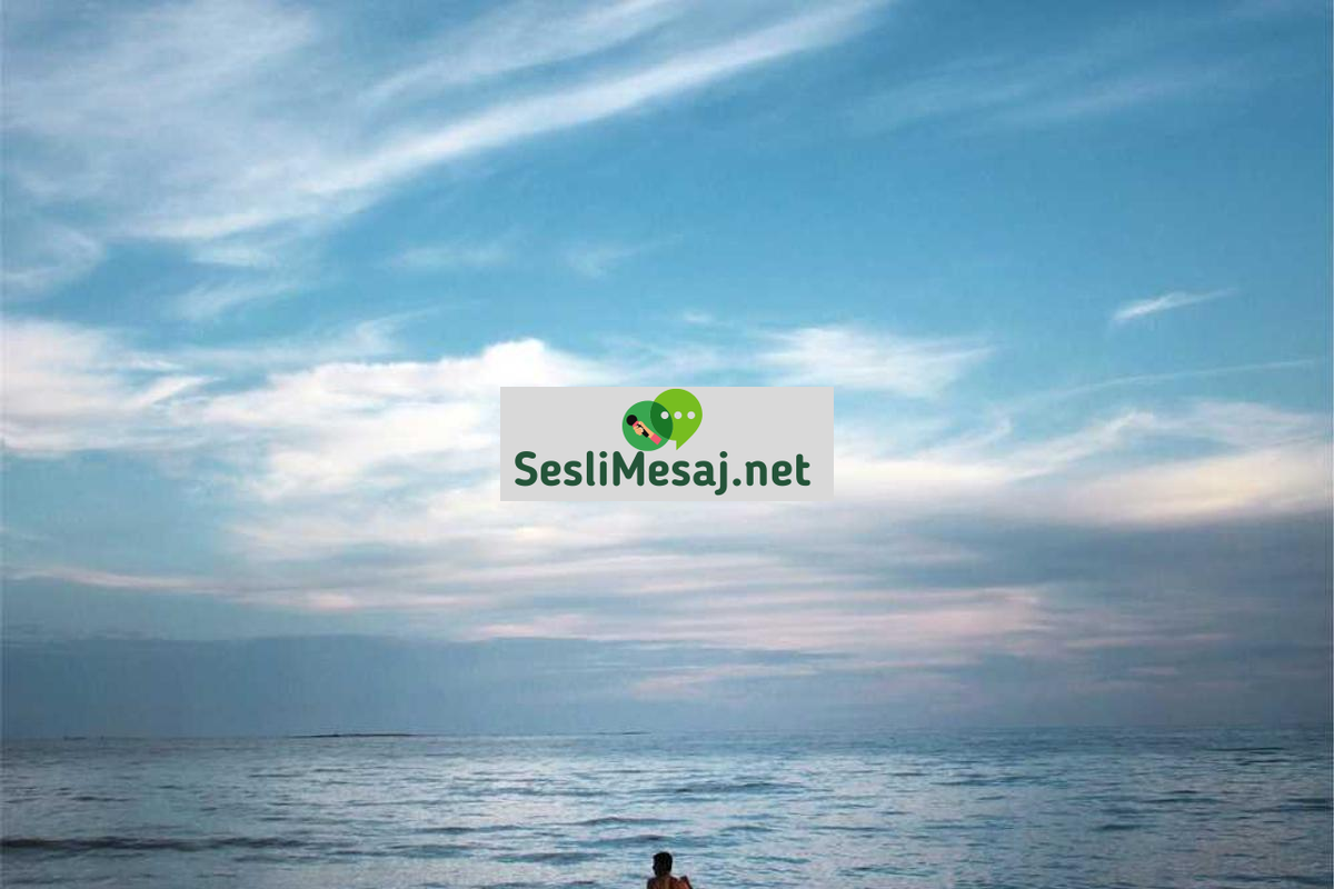 Psikolojik Destek Hattı Sohbeti: Acil Yardım ve Danışmanlık