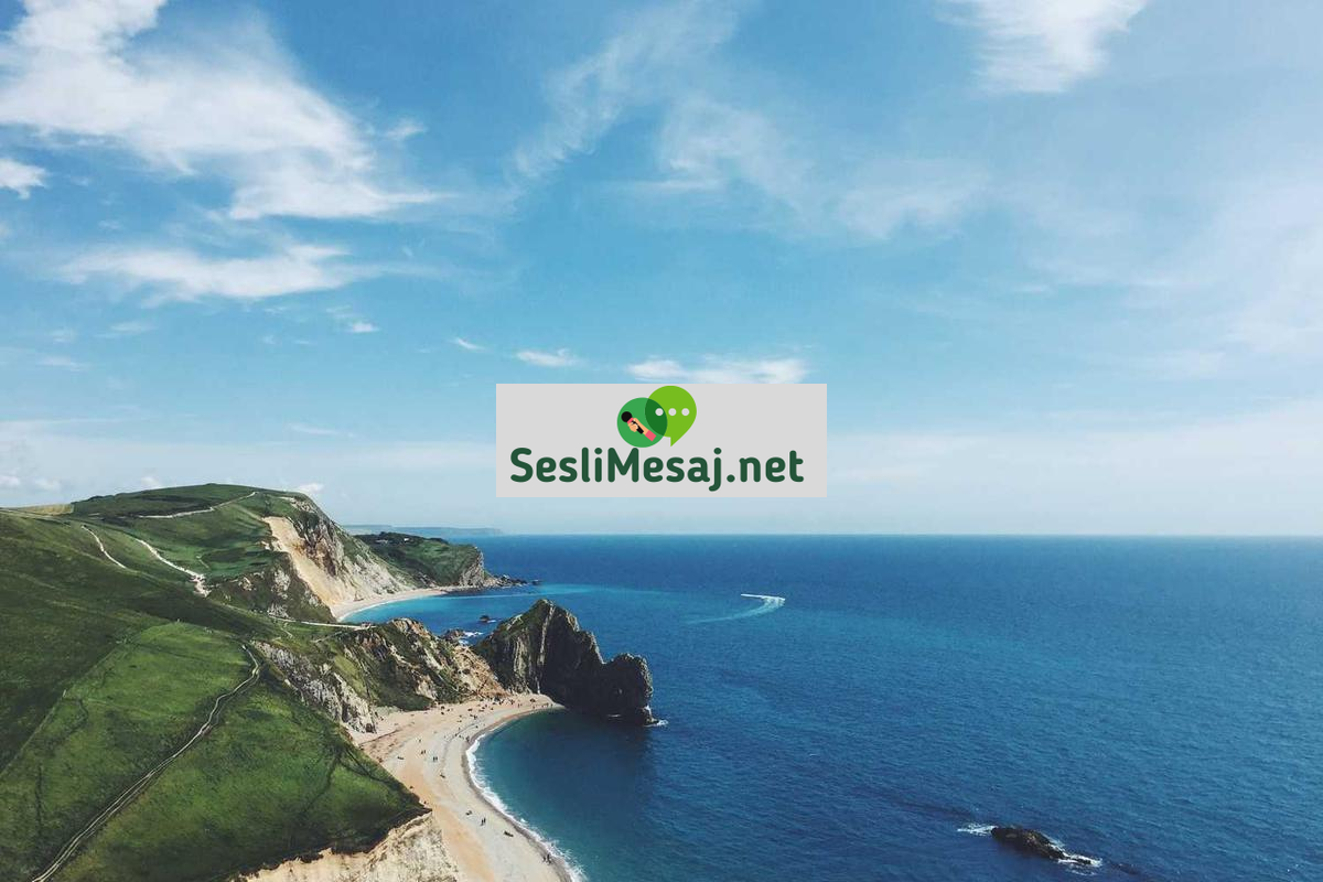 Psikolojik Destek Hattı Sohbeti: Acil Yardım ve Danışmanlık