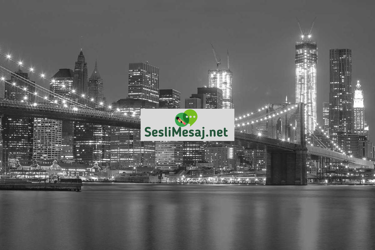 Python Programlama Sohbeti: Veri Bilimi ve Yapay Zeka