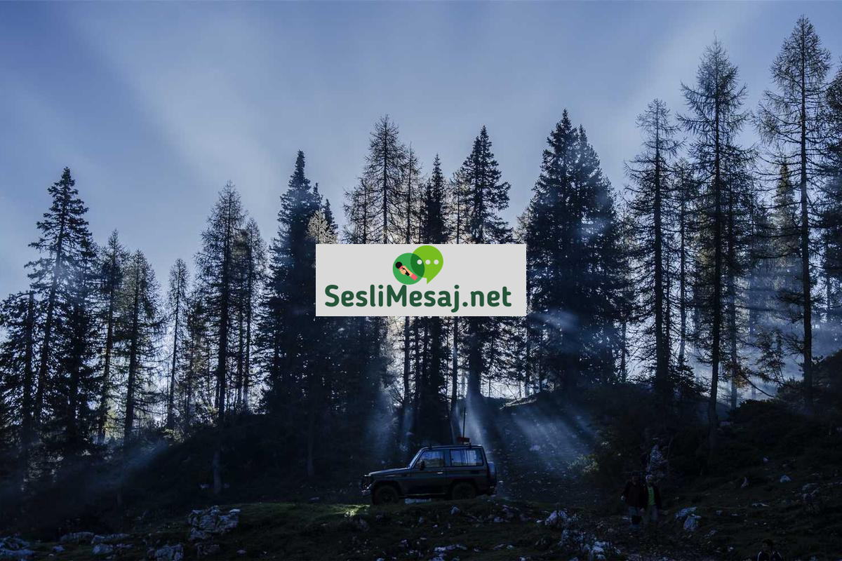 Robotik Kodlama Yarışmaları Sohbeti: Öğrenci Projeleri