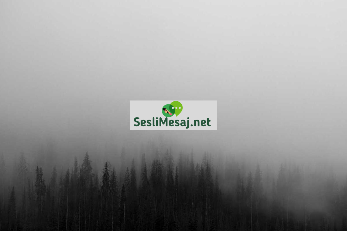 Romantik İlişkilerde Ortak Büyüme Sohbeti: Gelişim