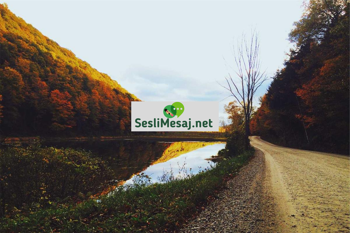 Romantik İlişkilerde Ortak Büyüme Sohbeti: Gelişim