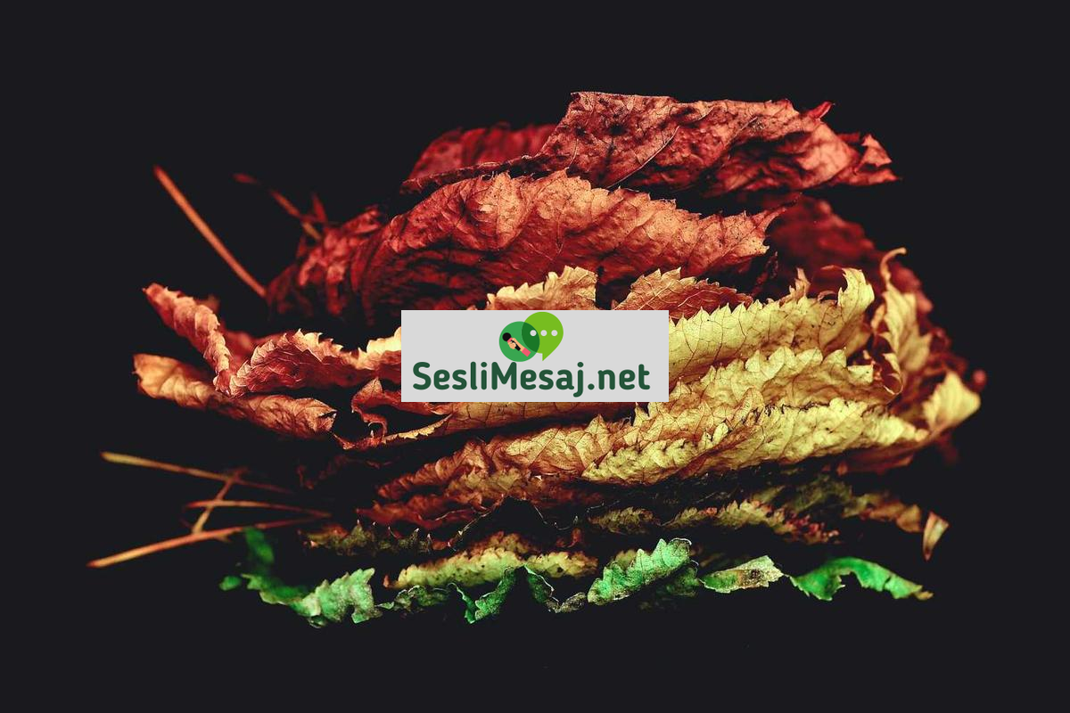 Romantik İlişkilerde Sözsüz İletişim Sohbeti: Beden Dili