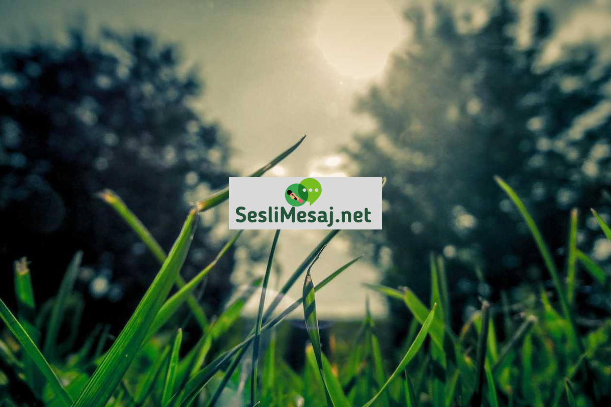 Romantik İlişkilerde Çözüm Odaklı Yaklaşım Sohbeti: Problemleri Aşma