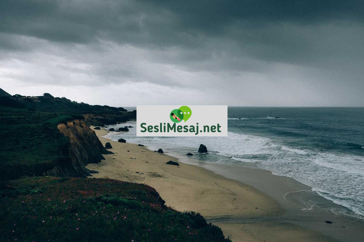 Ruh Sağlığı ve Teknoloji Sohbeti: Dijital Terapiler