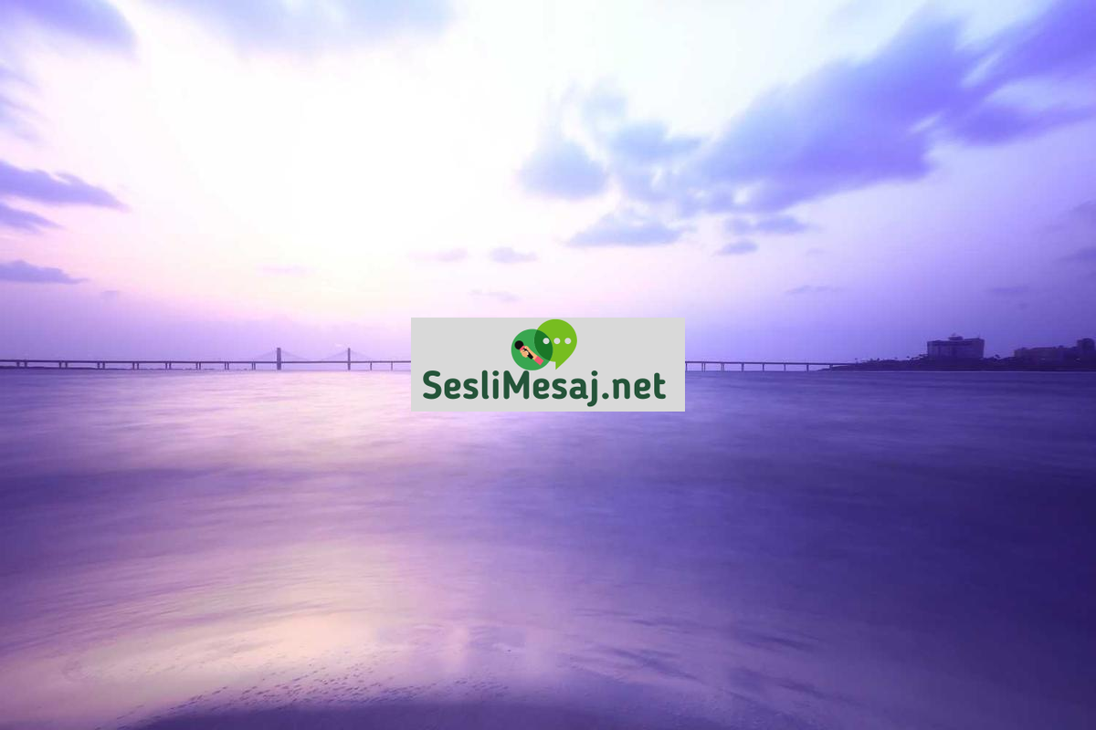 Rusya ve Ukrayna Sohbeti: Güncel Çatışma ve Sosyal Etkiler