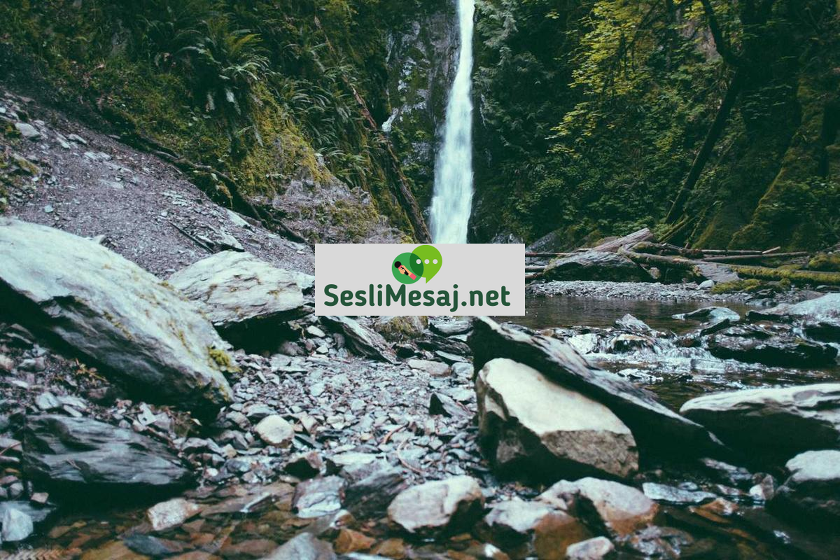 Rüya Analizi ve Kişisel Dönüşüm Sohbeti: Gelişim