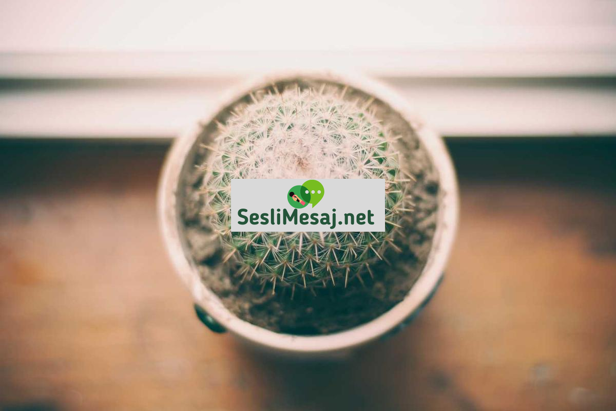 Rüya Analizi ve Çözümleme Sohbeti: Anlam