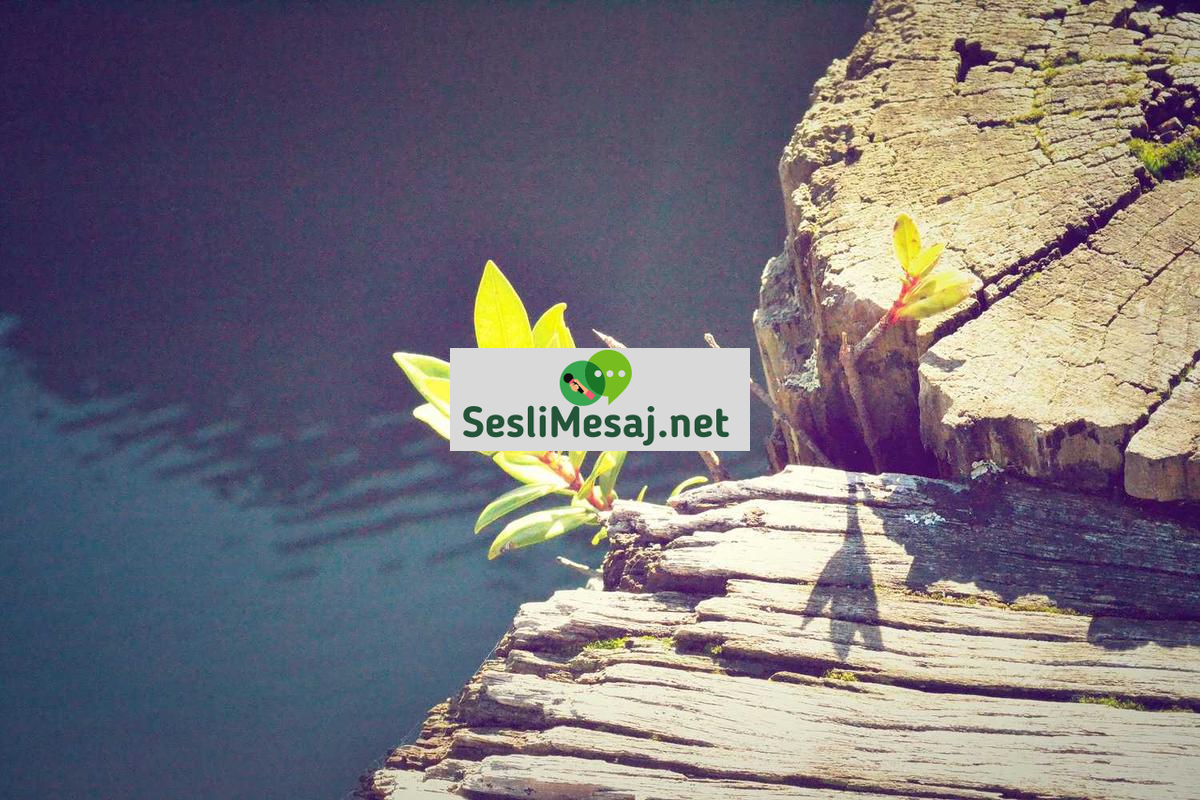 Rüya Analizi ve Çözümleme Sohbeti: Anlam