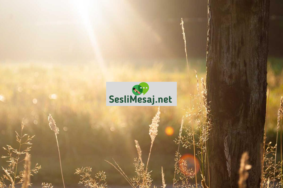 Rüya Analizi ve Çözümleme Sohbeti: Anlam